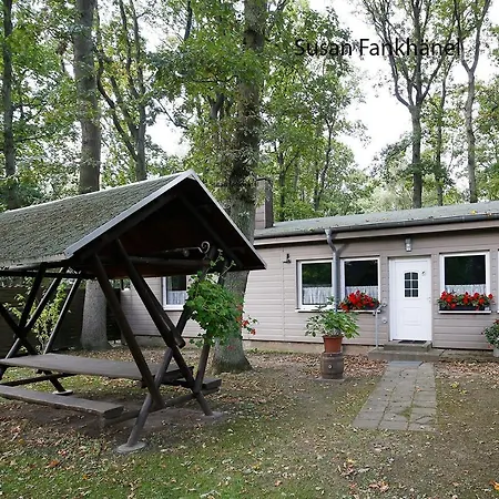 Hébergement de vacances Bungalow Ruhe Und Sturm Mit Kamin Direkt Am Nur Fur Erwachsene Dranske